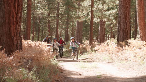 Grandparents-cycling-with-grandchildren-in-a-forest