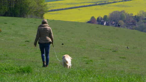Mature-Woman-Taking-Dog-For-Walk-In-Countryside-Shot-On-R3D
