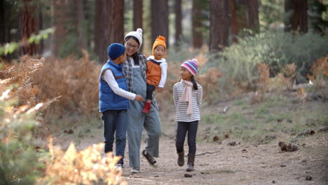 Asiatische-Mutter-Mit-Drei-Kindern,-Die-In-Einem-Wald-Spazieren-Gehen