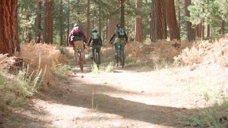 Friends-cycling-away-from-camera-on-a-forest-path,-low-angle
