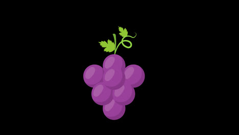 A-purple-grapes-with-green-leaves-concept-animation-with-alpha-channel