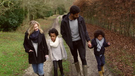 Family-Walking-Along-Path-In-Countryside-Shot-On-R3D