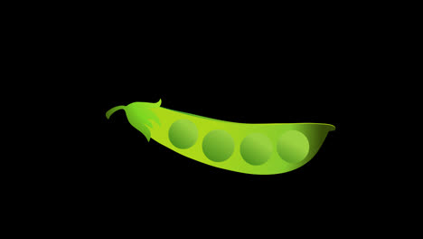 A-green-pea-pod-with-circles-icon-concept-loop-animation-video-with-alpha-channel