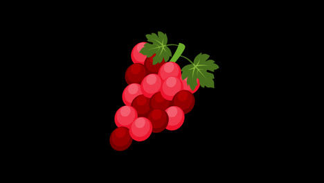 A-red-grapes-with-green-leaves-concept-animation-with-alpha-channel