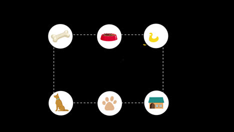 a-diagram-of-a-dog's-life-cycle-food-concept-animation-with-alpha-channel