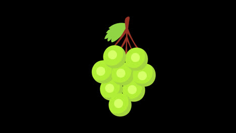 A-green-grapes-with-green-leaves-concept-animation-with-alpha-channel