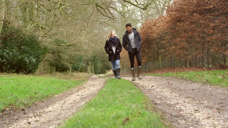 Couple-Walking-Along-Path-In-Countryside-Shot-On-R3D