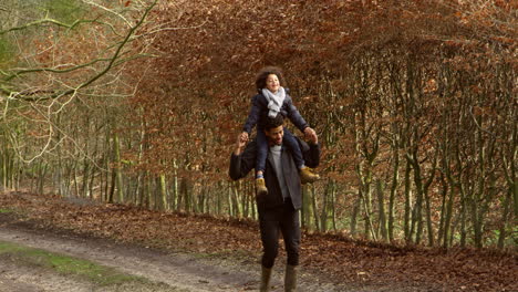 Father-Carrying-Son-On-Shoulders-During-Walk-Shot-On-R3D