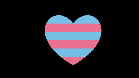 A-heart-with-blue-and-pink-stripes-icon-concept-loop-animation-video-with-alpha-channel