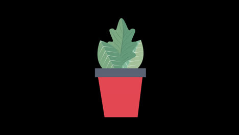 a-potted-plant-with-a-green-leaf-icon-concept-loop-animation-with-alpha-channel