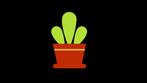 a-potted-cactus-plant-with-green-leaves-icon-concept-loop-animation-video-with-alpha-channel