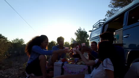 Friends-making-a-toast-at-a-picnic-beside-their-camper-van