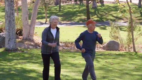 Senior-Couple-Power-Walking-Through-Park-In-Slow-Motion