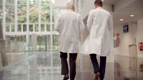 Rear-View-Of-Doctors-Talking-As-They-Walk-Through-Hospital