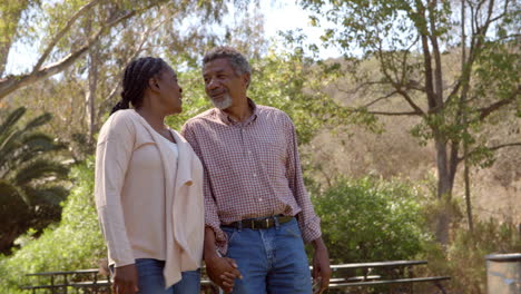 Middle-aged-black-couple-laugh-while-walking-in-countryside