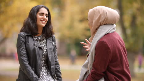 Zwei-Britische-Muslimische-Frauen-Treffen-Sich-Im-Stadtpark