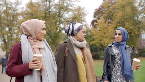 Amigas-Musulmanas-Británicas-Caminando-Por-El-Parque-De-La-Ciudad