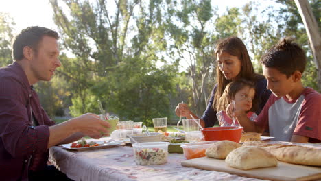 Mixed-race-family-talking-at-a-picnic-table-in-a-park