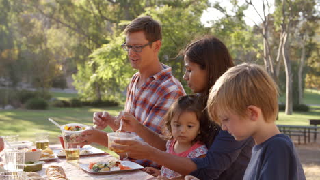Two-families-eating-at-a-picnic-table-in-a-park,-close-up