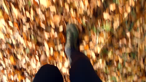 Close-Up-Of-Man-Running-Through-Autumn-Landscape