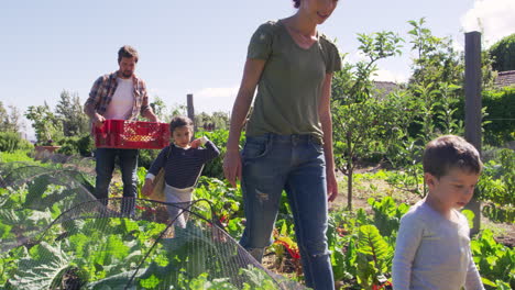 Family-Working-On-Community-Allotment-Together