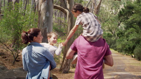 Rear-View-Of-Family-Walking-Along-Path-Through-Forest-Together
