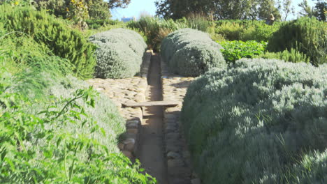Path-Through-Gardens-With-Produce-Being-Grown-On-Allotment