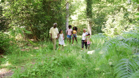 Multi-generation-black-family-walking-in-forest,-laughing