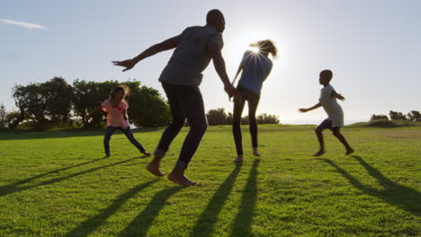 Young-black-family-playing-in-a-field-in-Summer