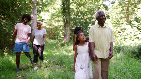 Schwarze-Familie-Mit-Mehreren-Generationen,-Die-Zusammen-In-Einem-Wald-Spazieren-Geht