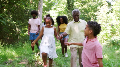 Familia-Negra-De-Varias-Generaciones-Caminando-En-El-Bosque