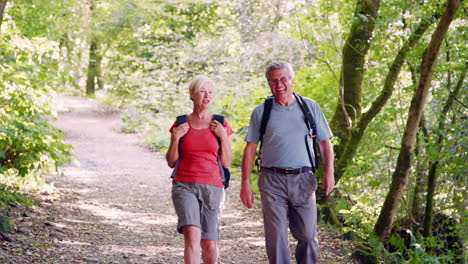 Slow-Motion-Shot-Of-Senior-Couple-Hiking-Along-Woodland-Path-In-Lake-District-UK-Together
