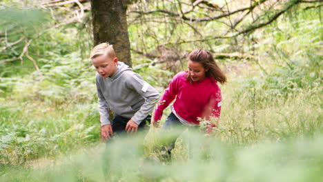 Two-children-walking-in-a-forest-amongst-greenery,-handheld,-Lake-District,-UK