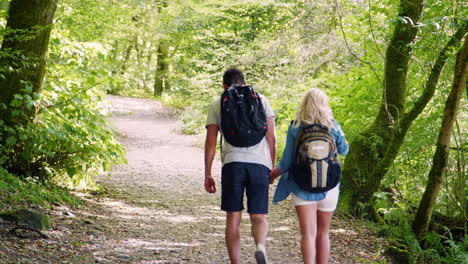Rückansicht-In-Zeitlupe-Eines-Jungen-Paares,-Das-Gemeinsam-Auf-Einem-Waldweg-Im-Lake-District-Im-Vereinigten-Königreich-Wandert