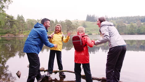 Young-family-holding-hands-balancing-on--fallen-branches-in-a-lake,-Lake-District,-UK