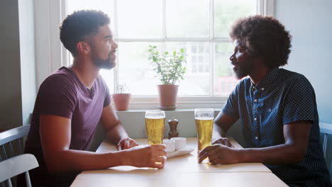 Mixed-race-young-man-and-his-black-dad-drinking-beer-and-talking-at-a-table-in-a-pub,-close-up,-side-view