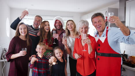 Portrait-Of-Multi-Generation-Family-And-Friends-Celebrating-With-Pre-Dinner-Drinks-At-Christmas-House-Party