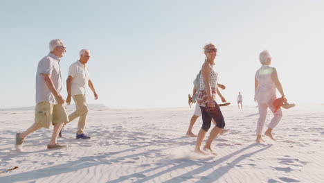 Group-Of-Senior-Friends-Walking-Along-Sandy-Beach-On-Summer-Group-Vacation