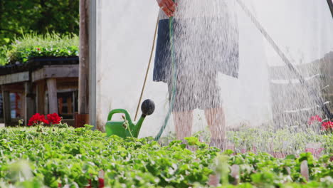 Close-Up-Of-Woman-Working-In-Garden-Center-Watering-Plants-In-Greenhouse
