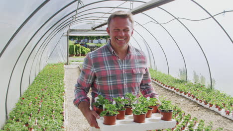 Portrait-Of-Mature-Male-Owner-Of-Garden-Center-Holding-Tray-Of-Plants-In-Greenhouse