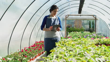 Mujer-Madura-Trabajando-En-El-Invernadero-Del-Centro-De-Jardinería-Sosteniendo-Una-Tableta-Digital-Y-Revisando-Las-Plantas.