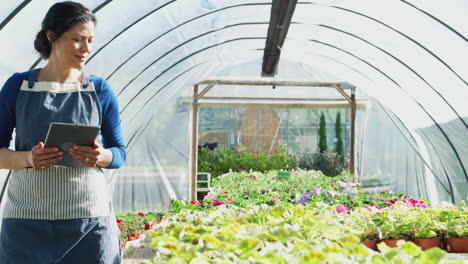 Mature-Woman-Working-In-Garden-Center-Greenhouse-Holding-Digital-Tablet-And-Checking-Plants