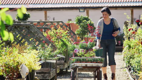 Mature-Woman-Customer-Buying-Plants-And-Putting-Them-On-Trolley-In-Garden-Center