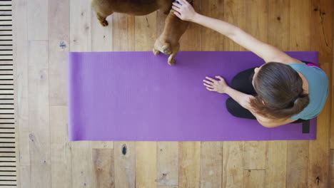 Overhead-View-Of-Young-Woman-With-Pet-Dogs-About-To-Do-Yoga-On-Wooden-Floor
