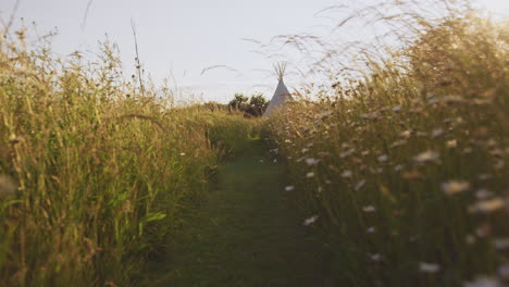 Tracking-Shot-Along-Path-Through-Field-Of-Wild-Flowers-And-Grass-Towards-Teepee