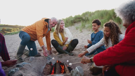Mehrgenerationenfamilie-Röstet-Im-Winterlichen-Strandurlaub-Marshmallows-Am-Feuer