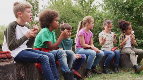 Gruppe-Von-Kindern-Auf-Einem-Campingausflug-Im-Freien,-Die-Gemeinsam-Marshmallows-Am-Lagerfeuer-Essen
