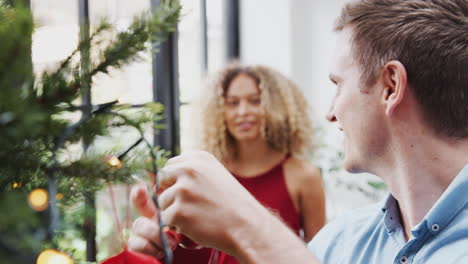 Couple-At-Home-Hanging-Decorations-On-Christmas-Tree-Together