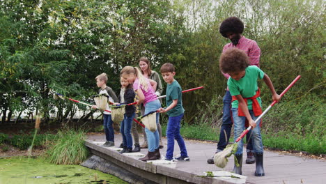 Adult-Team-Leaders-Show-Group-Of-Children-On-Outdoor-Activity-Camp-How-To-Catch-And-Study-Pond-Life