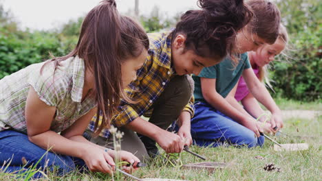 Group-Of-Children-On-Outdoor-Camping-Trip-Learning-How-To-Make-Fire